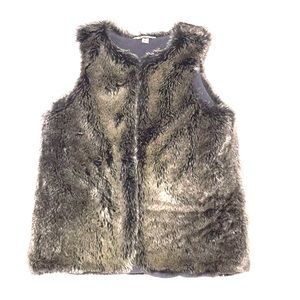 Gray Fur Vest